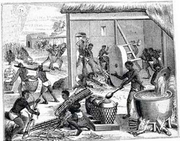 Division de trabajo por Tipos