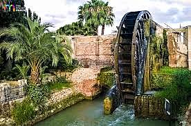 NORIA DE ALCANTARILLA ( SIGLO XV)