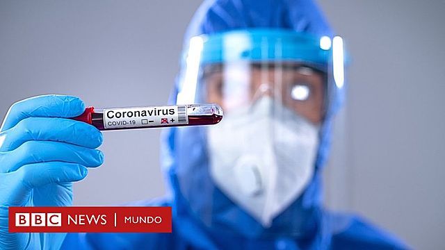 ¿Cómo debo lavar las frutas y las hortalizas?