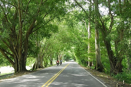 Llegando a Yondó (Antioquia)