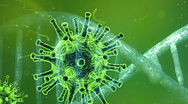 Timeline: EL CORONAVIRUS DENTRO DEL CUERPO HUMANO