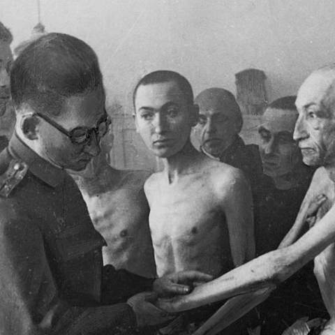 Liberation of the Concentration Camps
