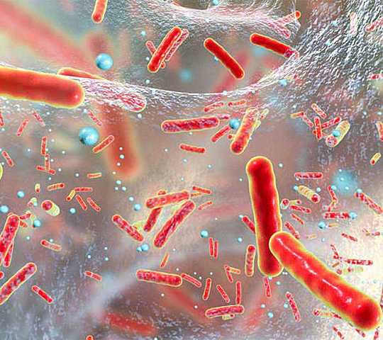 Alexander Oparin, John Haldane.