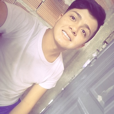 Timeline: Diego Garzon Manrique