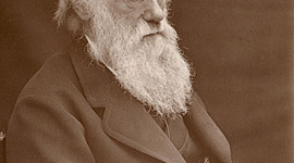 Timeline: Charles Darwin 12 Feb 1809 - 19 Apr 1882