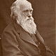 1878 darwin photo by leonard from woodall 1884