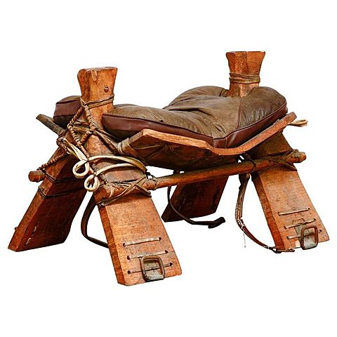 Camel Saddle