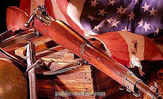 Idea a los Estados Unidos