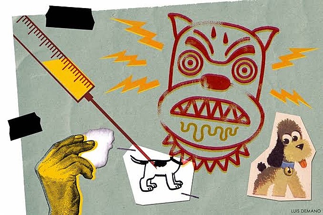 Louis Pasteur Vacuna contra la rabia