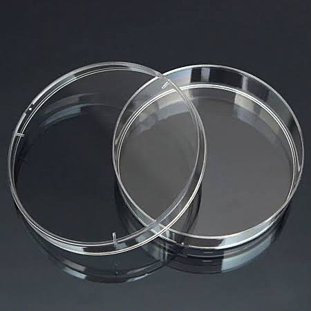 Richard Petri Introduce el uso de placas petri en la microbiología