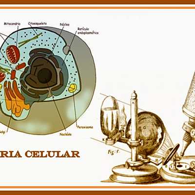 Timeline: Teoría celular