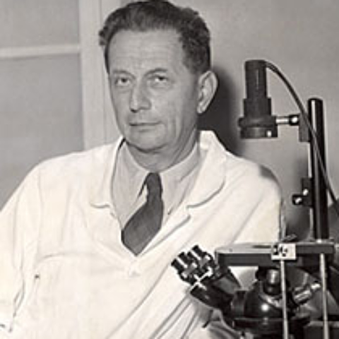 Andre Michael Lwoff Estudia el fenómeno de la lisogenia