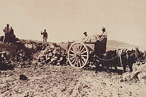 ECONOMIA DEL SALITRE