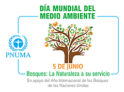 Asamblea general de la ONU