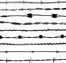 Barbed Wire