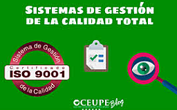 Gestión de la calidad total