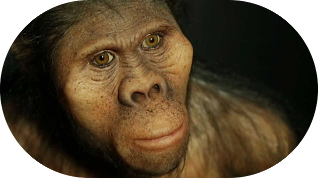 Los primeros hominidos