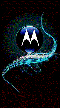 Perfiles de la Calidad