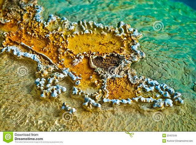 Thomas Brock Descubrimiento de bacterias que crecen el géiseres