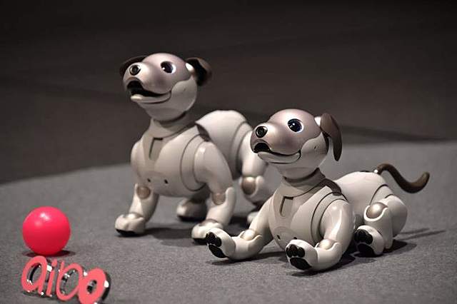 Sony lanza el perro robot Aibo