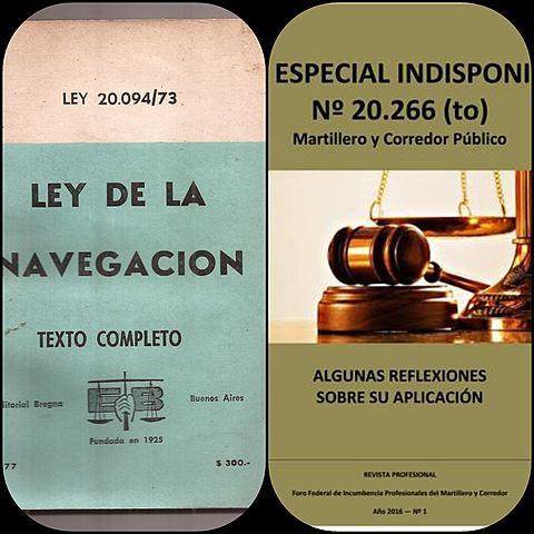 Sanción Ley 20.094 y 20.266