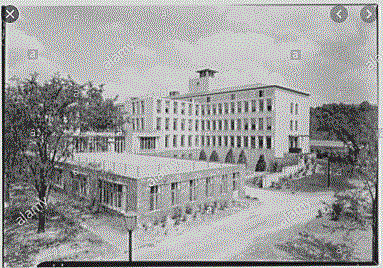 Aseguramiento de Calidad