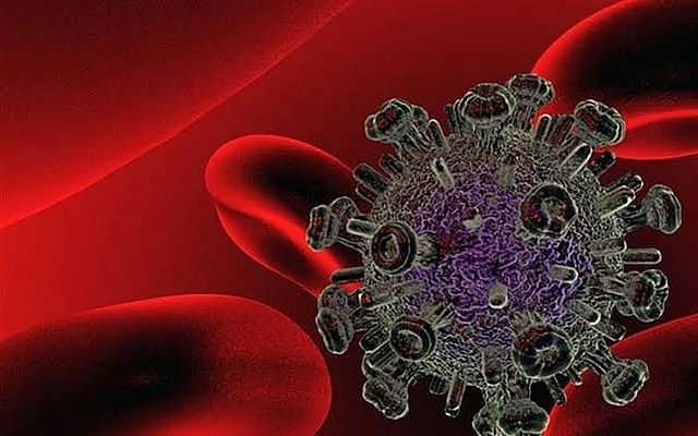 Luc Montagnier Descubrimiento del HIV causa del SIDA