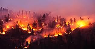 Incendios forestales.