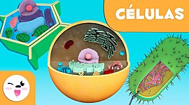 Timeline: LA CÉLULA