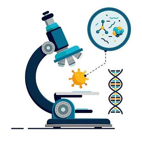 Descubrimiento de la Célula