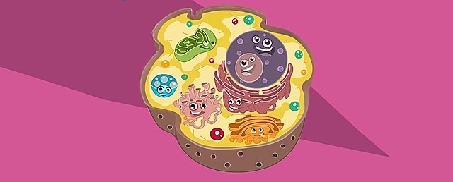 Evolución vista microscopio-célula