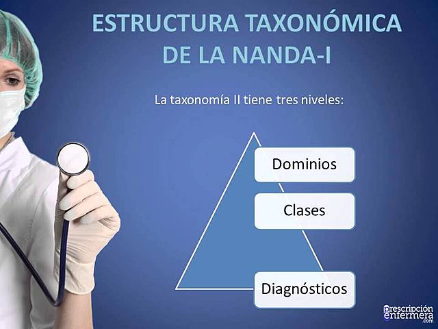 NANDA Taxonomia ll