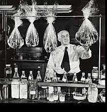 Celofán (Jacques Edwin Brandenberger) 2ª Revolución Industrial