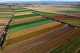 Lo Mal Any Primer (inici de sèrie de males collites)