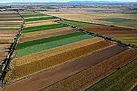 Lo Mal Any Primer (inici de sèrie de males collites)