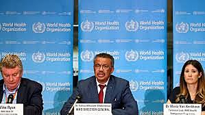 Primer informe mundial por la OMS a la comunidad de investigación y salud