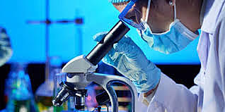 Informe del posible origen genético del virus