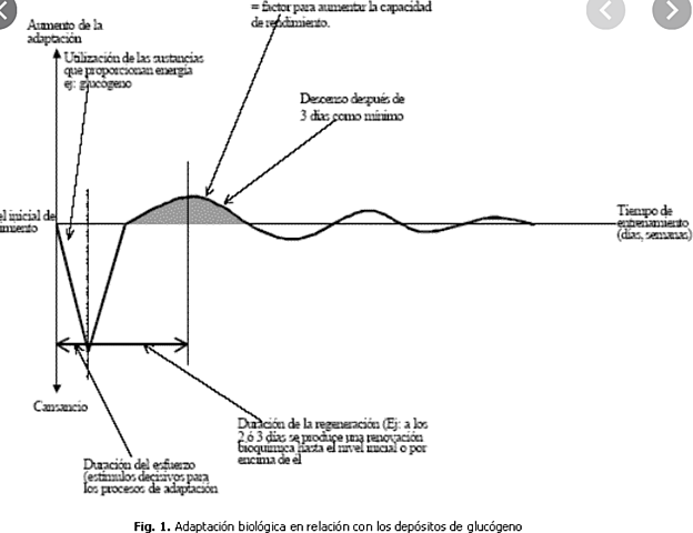 Bloque de Orientaciones Verjoshanski (1978)