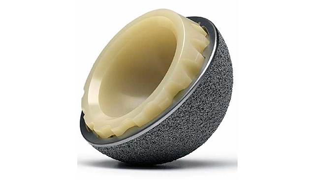 endoprótesis de marfil