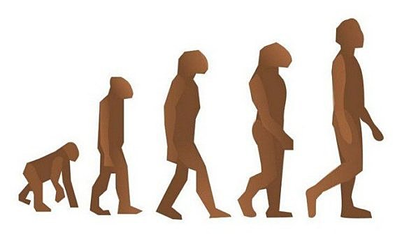 Teoría de la Evolución