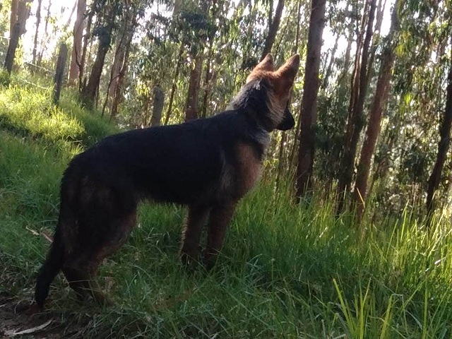 Maia de la casa Duarte a sus 14 meses