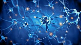 Timeline: Los momentos de las neuronas