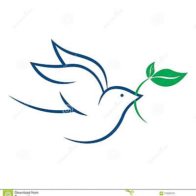 Timeline: "Línea Bíblica N.T." (Tema 7)