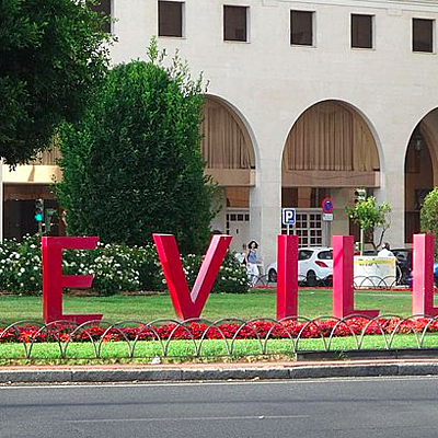 Timeline: Cronograma de las acciones