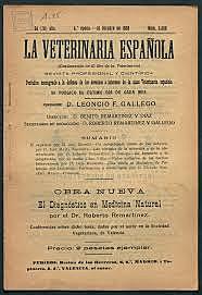 Apertura vegetarianismo