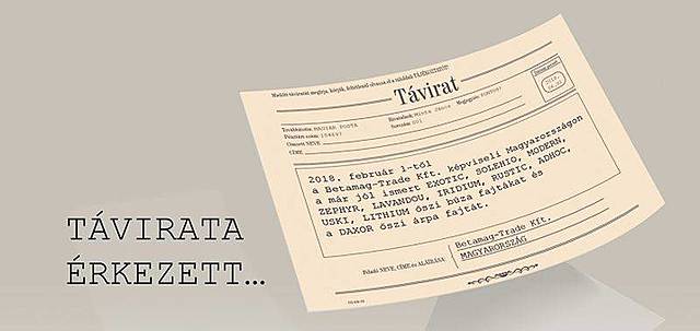 Óvodáskor - Folyamatos minőségi és mennyiségi fejlődés