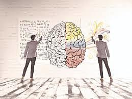 Neurociencia del aprendizaje