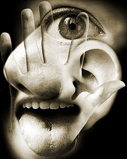 Weigl, Warrington y Newcombe