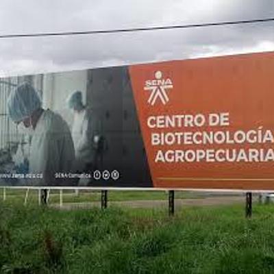 Timeline: Contando mi Historia