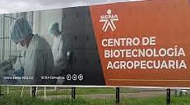 Timeline: Contando mi Historia